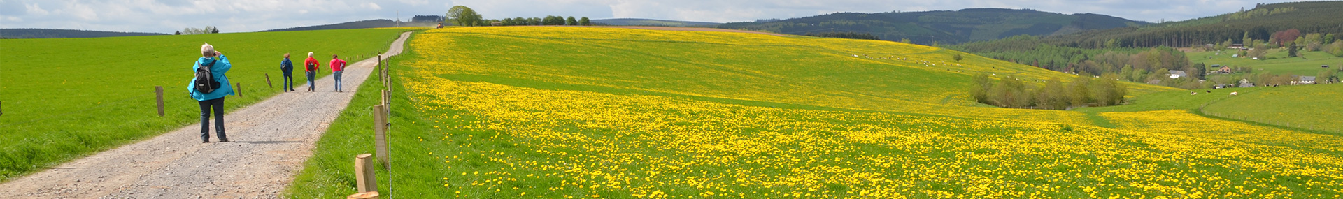 Kalipso Banner Wandeling veld