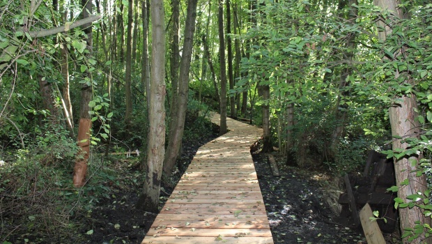 waterwandeling bierbeek